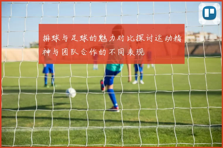 排球与足球的魅力对比探讨运动精神与团队合作的不同表现