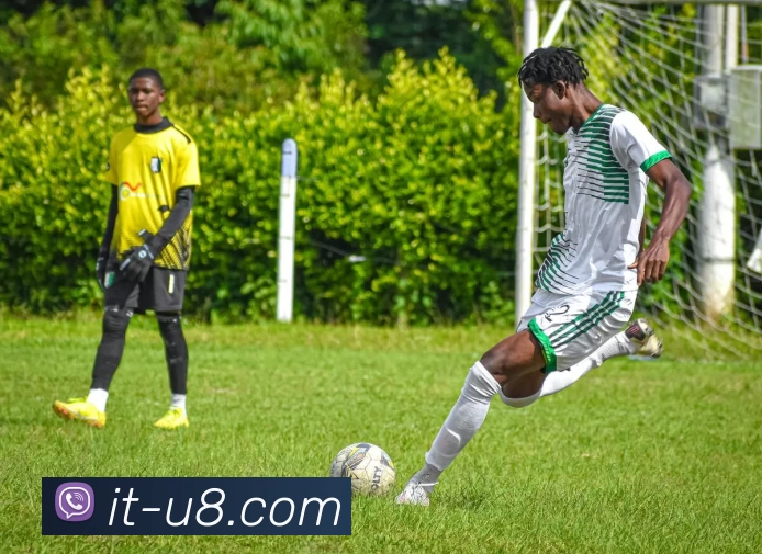 App Interface Preview